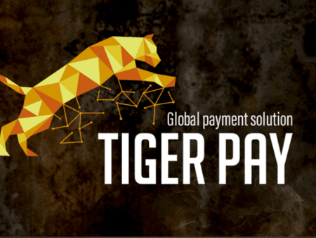 【2022年最新】タイガーペイ(TIGER PAY）が使えるオンラインカジノ一覧！特徴について解説