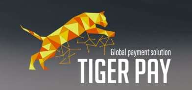 tigerpay タイガーペイ