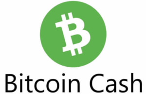 ビットコインキャッシュのロゴ画像