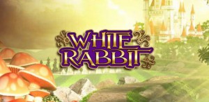 WhiteRabbit（ホワイトラビット）