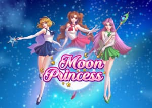 https://casinolobby.info/wp-content/uploads/moonprincess-cover-300x214.jpg